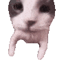serverlandemoji559