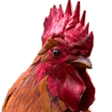 hurdac_bakisi