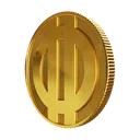 Raider_Token