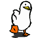 duckwaddle