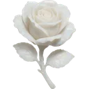 whiterose