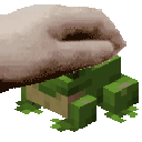 sevilen_kurbaga