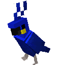dance_kus