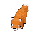 pervane_tilki