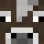 inek_pp