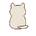 kapasite_catshy