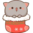 Visperia_catstocking