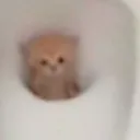 hm