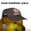 bolis
