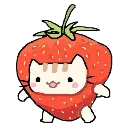 Visperia_strawberrykitten