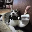 ok