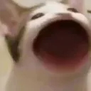 OHAAAAAAAAAAAAAAA