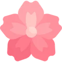 Sakuraa