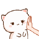 ktyl_peachcat