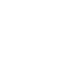 noktavelora