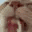 cat_lick