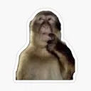 dunkey_monkey