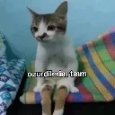 zurdilerim