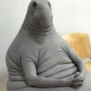 evtaynen_alacakaranlik