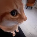 sideeye_alacakaranlik