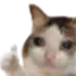 iim_alacakaranlik