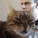 huh_alacakaranlik