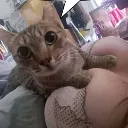 titts