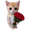 shdflowers