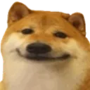 shddog
