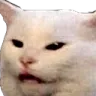 shdcat