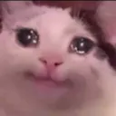 shdduygusalkedy