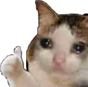 sadok