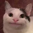 710kedi