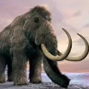 Mamut