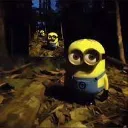 minyon