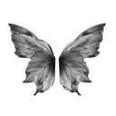 7881butterfly