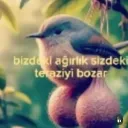 kus