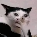 emoji_2