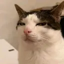 elnurcukk