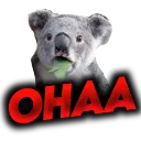 OHAA