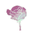 32226flowerpink2