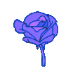 94217flowerpurple