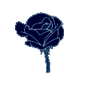93771flowerdarkblue
