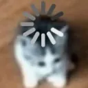 vitaloding
