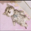 menciadied
