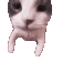 opucuk
