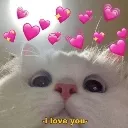 nurrr