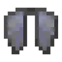 Elytra