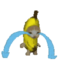 205823bananacat10cry