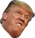 ne